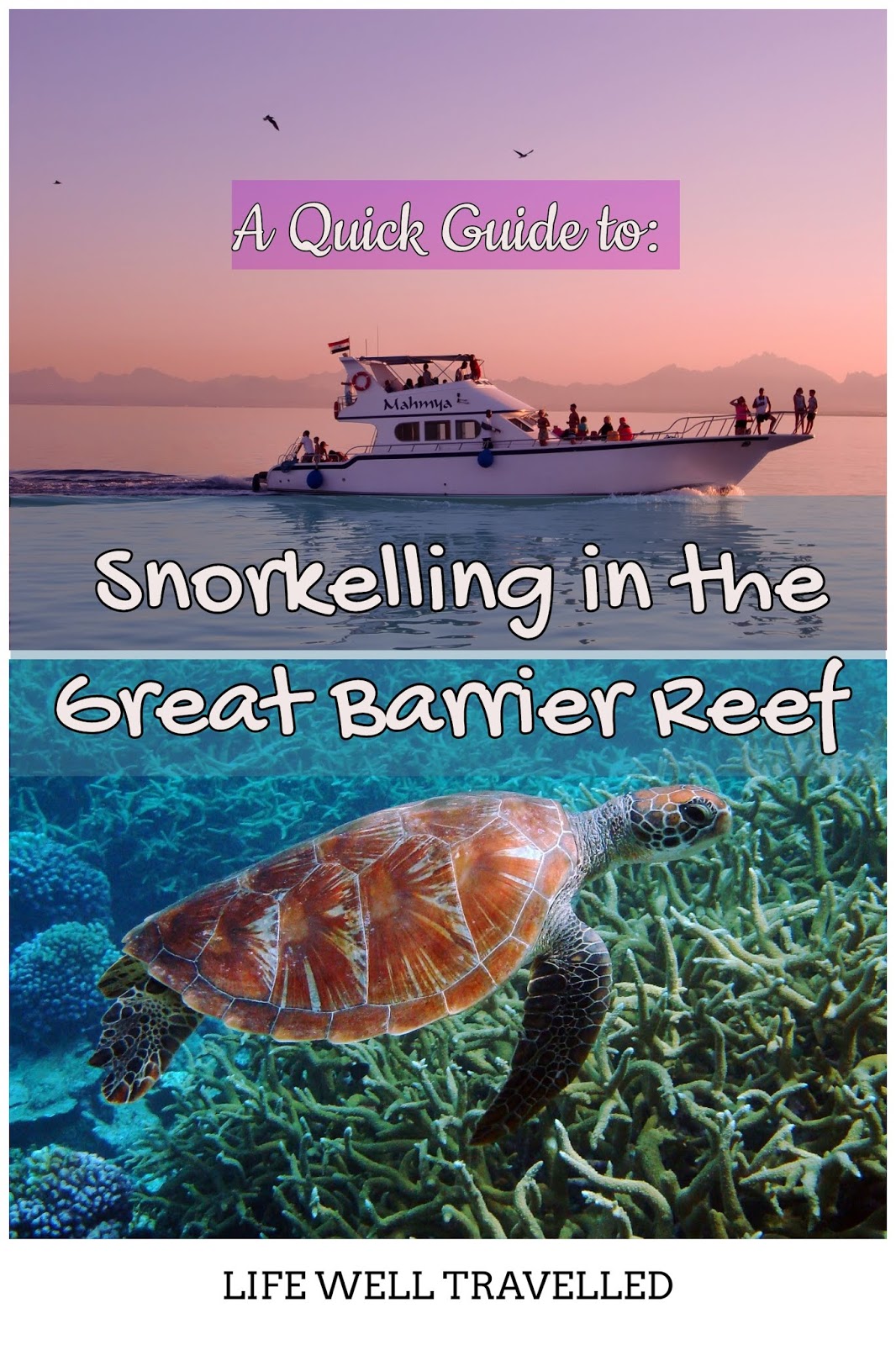 A Quick Guide to the Great Barrier Reef